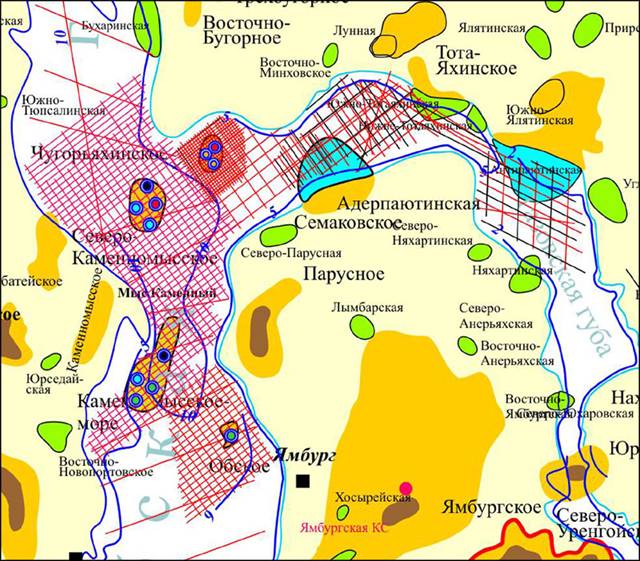 Карта ямбургское месторождение