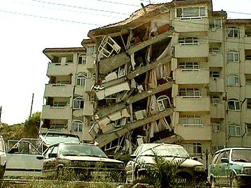 The impact of earthquakes on human activities
