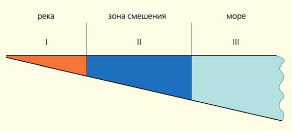 Три зоны суток. Маргинальный фильтр.