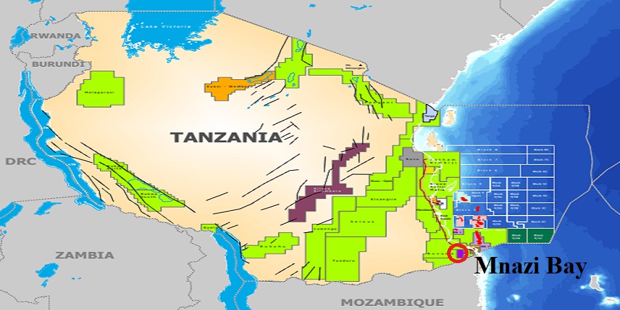 Французская Maurel & Prom потратит 80 млн долл. США на бурение скважин в Танзании 