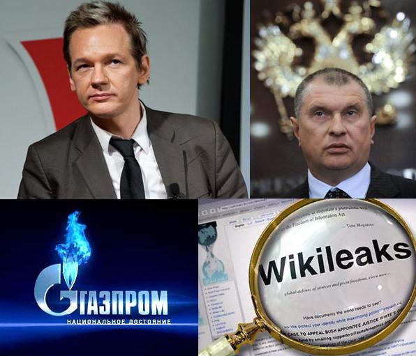 Утечки wikileaks. Кошка Викиликс главы.