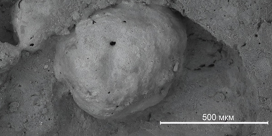 Ученые Пермского Политеха нашли способ превратить нефтешламы в прочную керамику