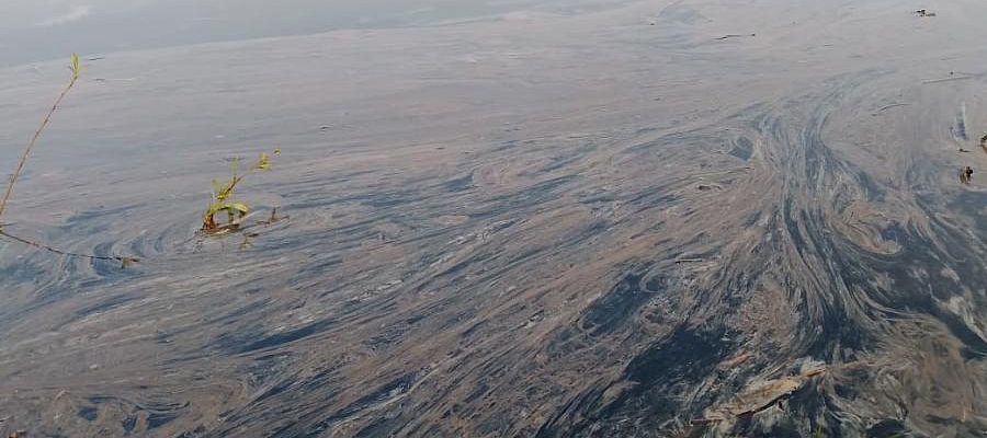 Экологический ущерб от разлива нефтепродуктов в Енисее оценили в 1,2 млрд руб.