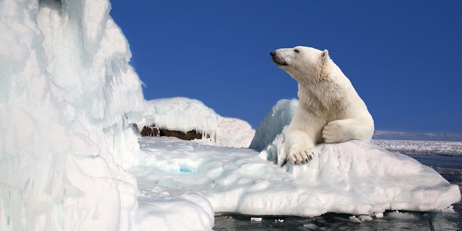 В сентябре в Арктике пройдут масштабные учения МЧС России