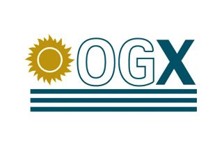 OGX просит защиты по суду от немедленного банкротства