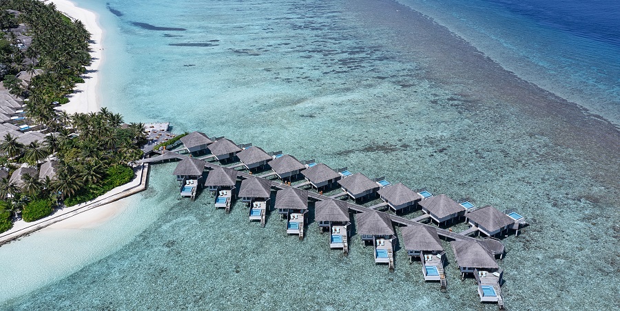 И отдохнуть, и помочь природе: зачем выращивают коралловые плантации в Velassaru Maldives и как каждый из нас может в этом поучаствовать