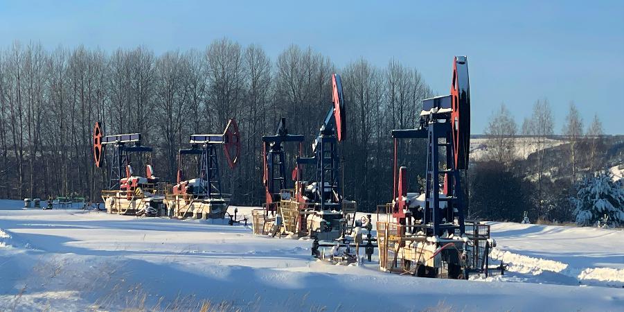 Накопленная добыча Белкамнефти достигла 95 млн т нефти