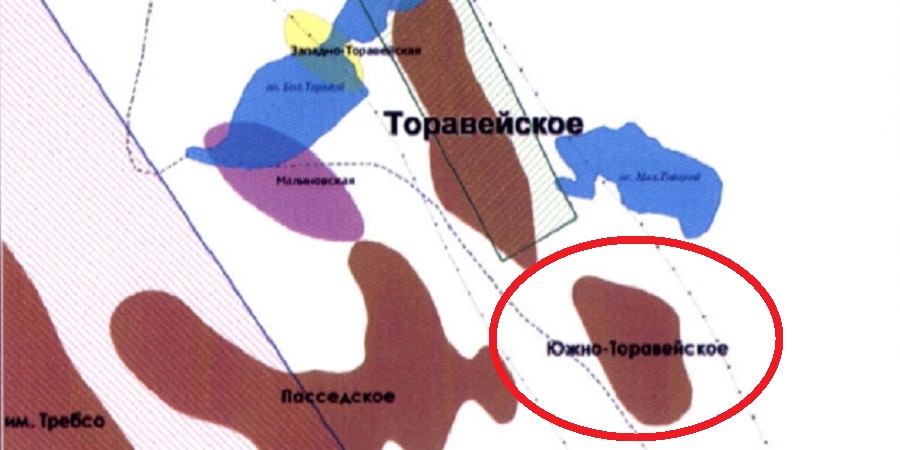 Южно-Торавейское месторождение Южно-Торавейское месторождение