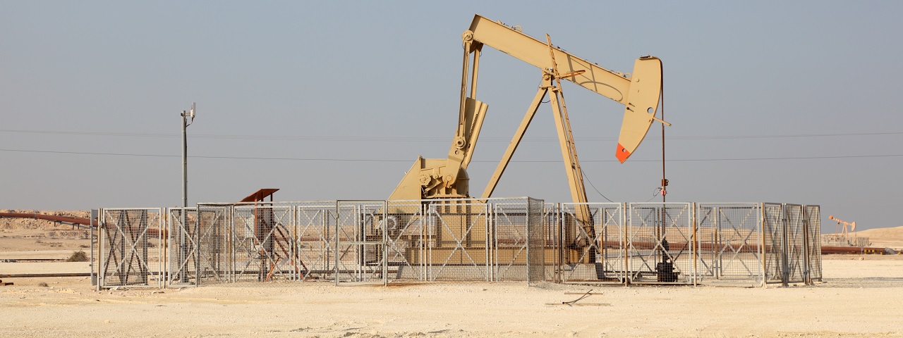 ADNOC привлекла международных партнеров к проекту Bab Gas Cap