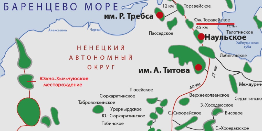 Южно-Торавейское месторождение Южно-Торавейское месторождение