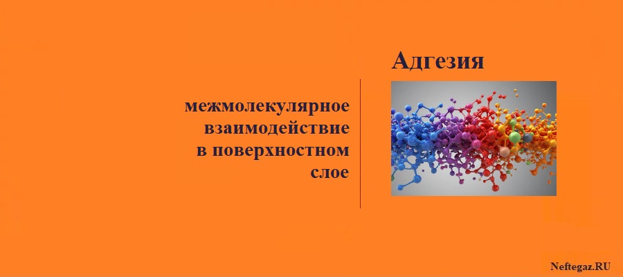 Адгезия