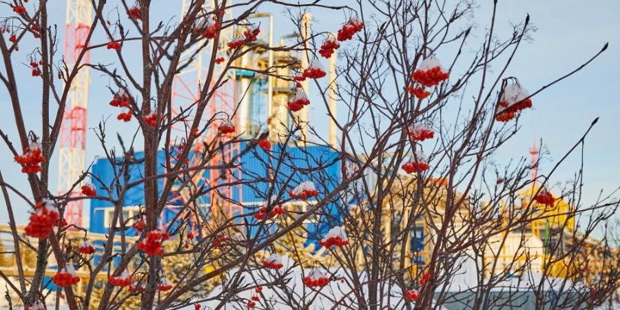 Все ближе к абсолютному рекорду. Газпром зафиксировал новый февральский максимум суточных поставок газа из ЕСГ