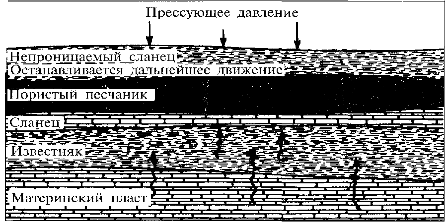 Материнский пласт (материнская порода)