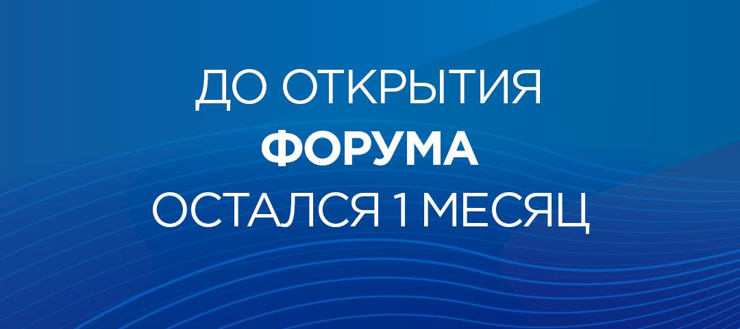 До старта X Юбилейного Петербургского международного газового форума остался месяц