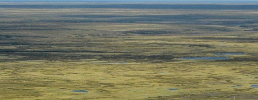 Геотехнический мониторинг вечной мерзлоты
