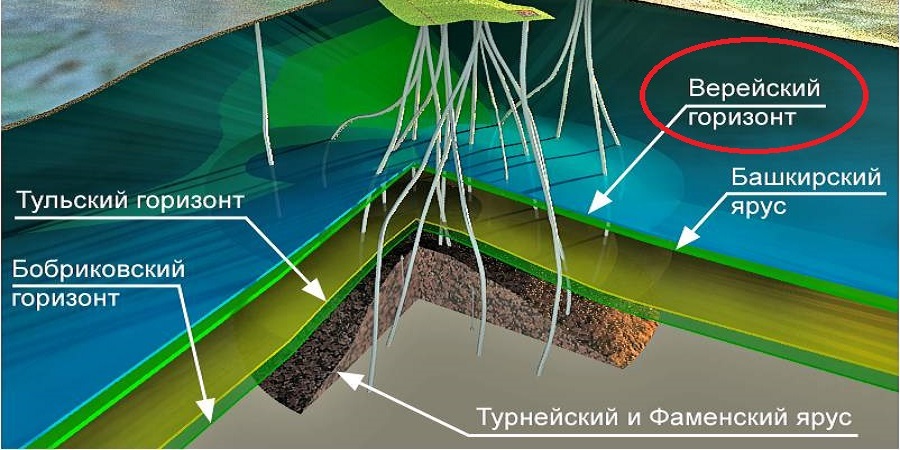 Верейский горизонт