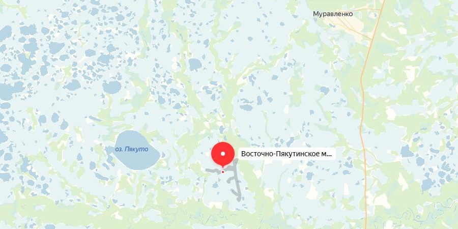 Восточно-Пякутинское месторождение Восточно-Пякутинское месторождение