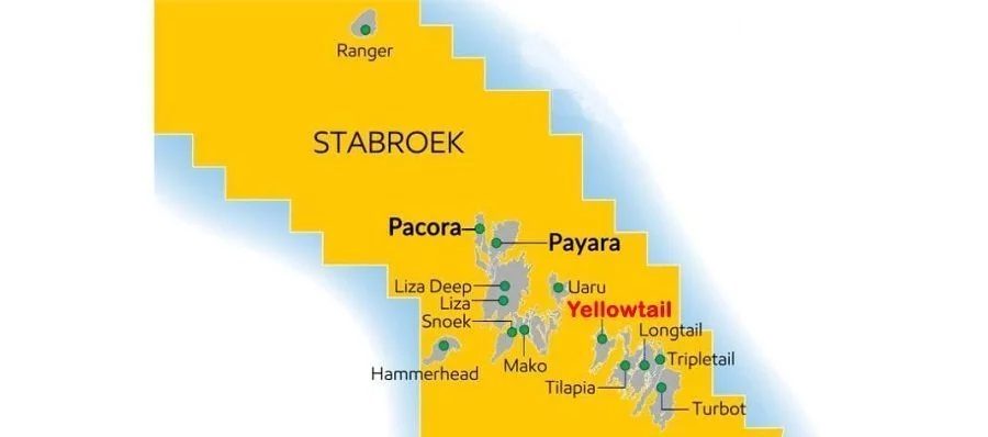 ExxonMobil займется разработкой месторождения Hammerhead в Гайане