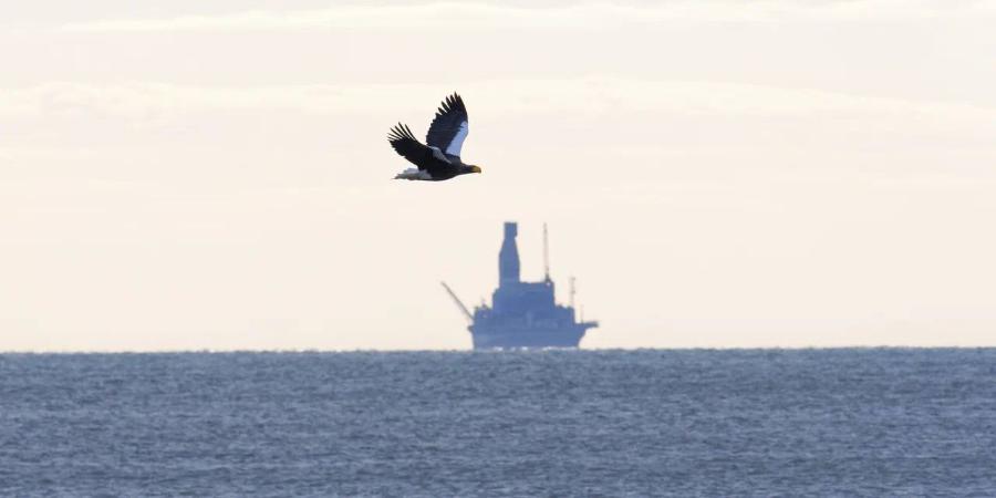 Кабмин РФ уточнил правила участия индийской ONGC и японской Sodeco в Сахалине-1