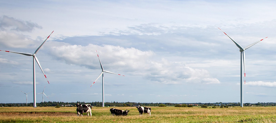 wind farm