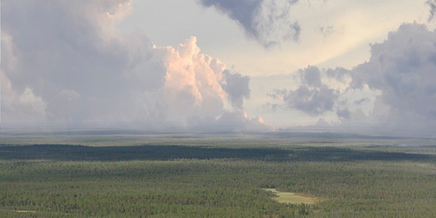 НОВАТЭК подал 3 заявки на получение права пользования недрами для захоронения СО2