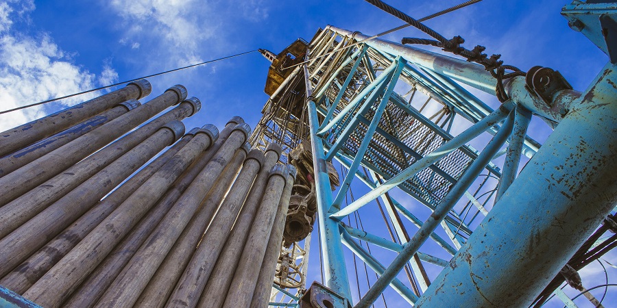 Ученые Пермского Политеха разработали метод фитоочистки буровых шламов с эффективностью до 40%