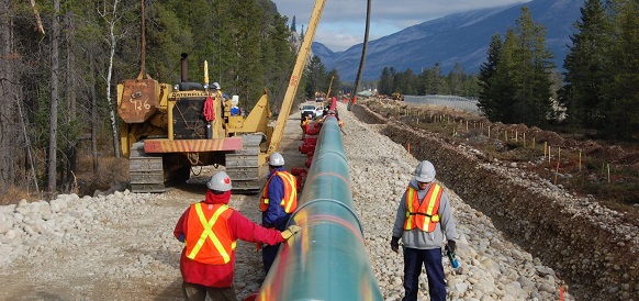 Kinder Morgan остановила большинство работ по нефтепроводу Trans Mountain в Канаде