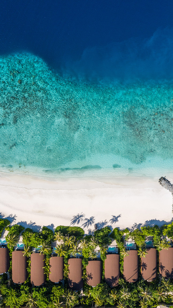The Westin Maldives Miriandhoo Resort 1.jpg