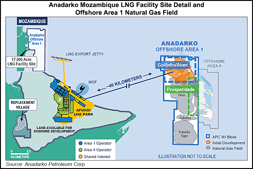 Anadarko-Mozambique-LNG-Facility-Site-Detail-and-Offshore-Area-1-Natural-Gas-Field-20190205.png