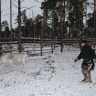 С.А.Кечимов показывает процесс поимки оленя