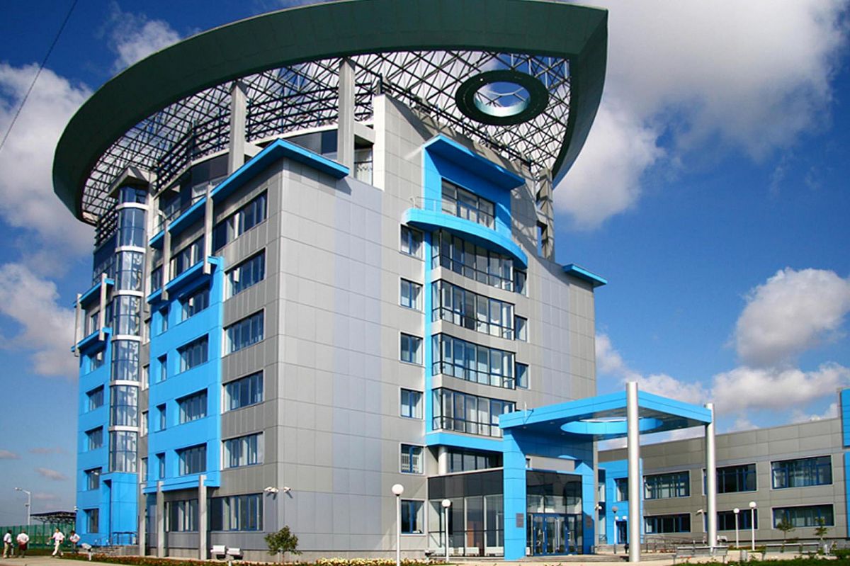 The mechanisms of an autonomous industry: SEZ