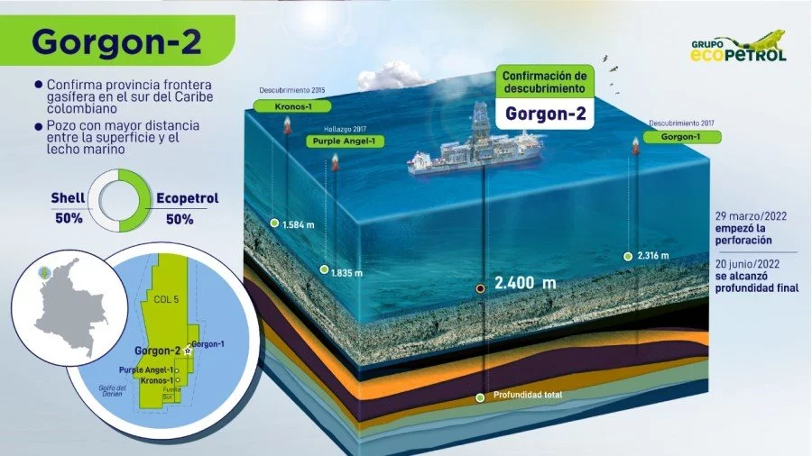 infografia-gorgon.jpeg